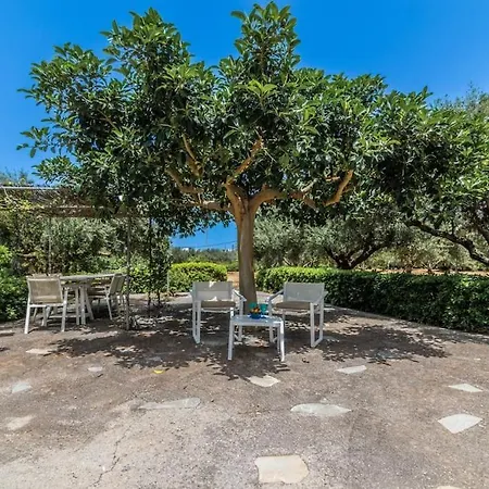 Olivegarden Near The